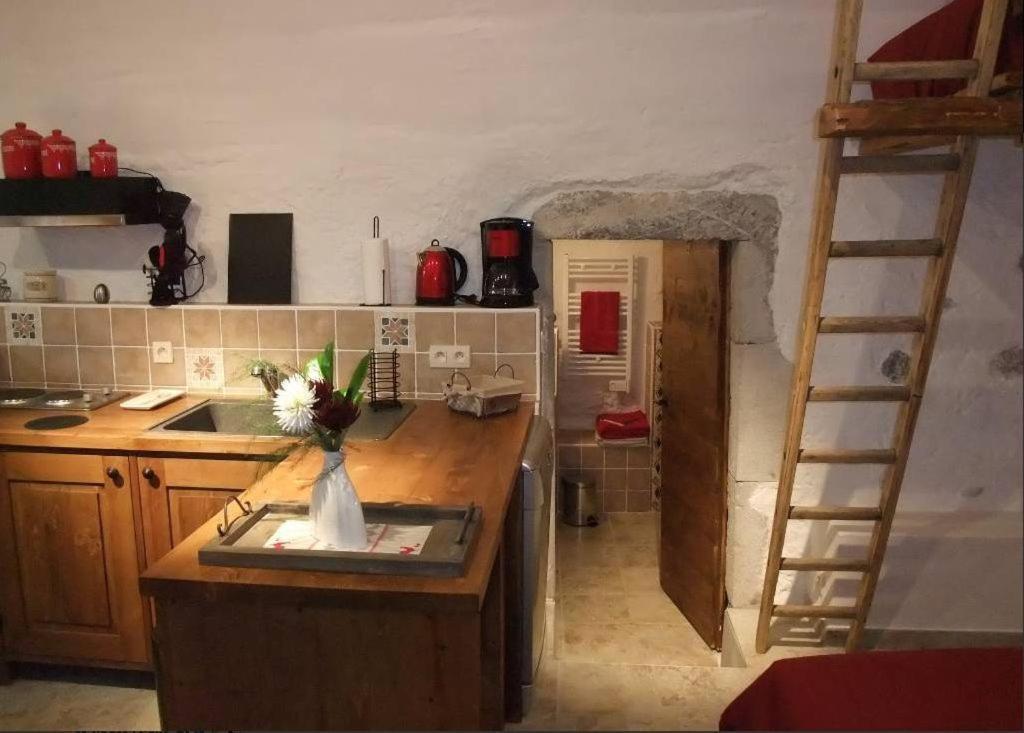 Le Domaine Du Grand Cellier Gites Appartement En Savoie Tournon-sur-Rhône Esterno foto